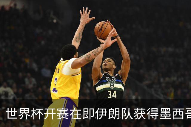 世界杯开赛在即伊朗队获得墨西哥签证 计划启程前往驻地